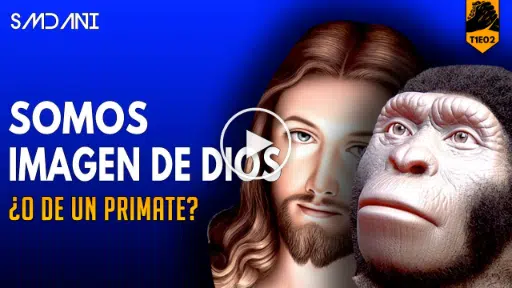 Vídeo de YouTube: El hecho evolutivo es una realidad de la que hoy tenemos certeza indiscutible. Más allá del fanatismo…