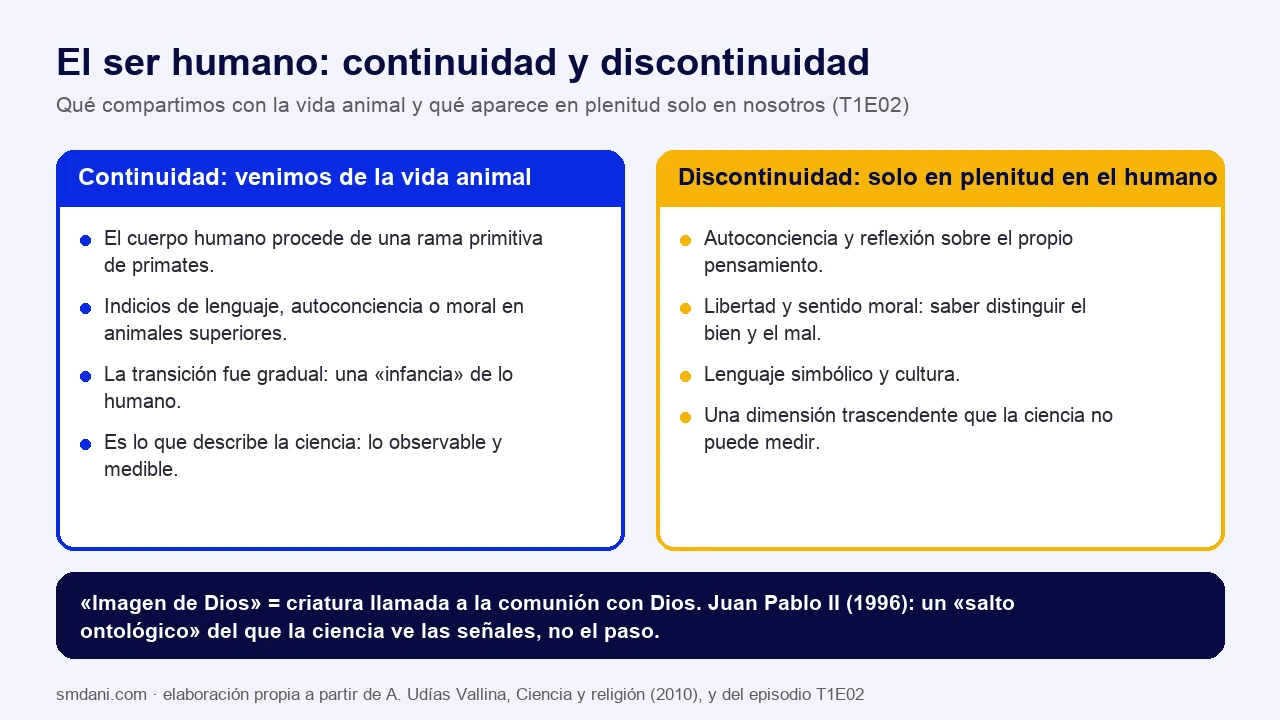 Esquema en dos columnas sobre el ser humano: a la izquierda la continuidad con la vida animal (cuerpo procedente de primates, indicios de lenguaje y moral en animales superiores, transición gradual, lo que describe la ciencia); a la derecha la discontinuidad (autoconciencia, libertad y sentido moral, lenguaje simbólico y cultura, dimensión trascendente); debajo, imagen de Dios como llamada a la comunión y el salto ontológico de Juan Pablo II